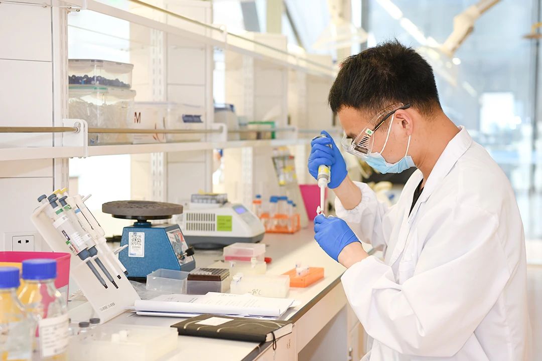 PP���ӡ�(�й�����)���¹ٷ���վ