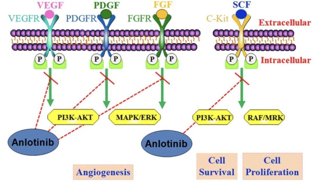 PP���ӡ�(�й�����)���¹ٷ���վ