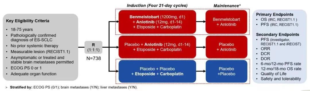 PP���ӡ�(�й�����)���¹ٷ���վ