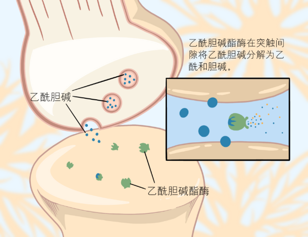 PP���ӡ�(�й�����)���¹ٷ���վ